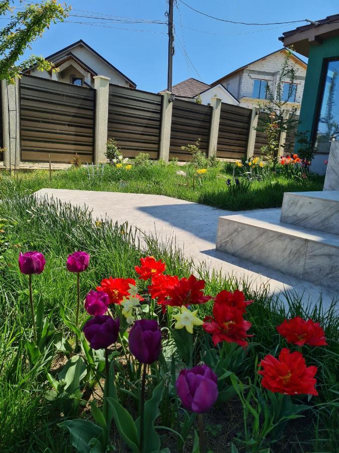 Vila Fara Nume Năvodari Buitenkant foto